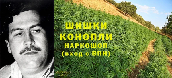 прущий лед Белокуриха